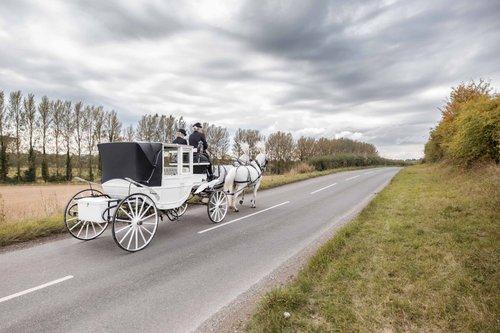 mobile - carousel-hero-element image-0